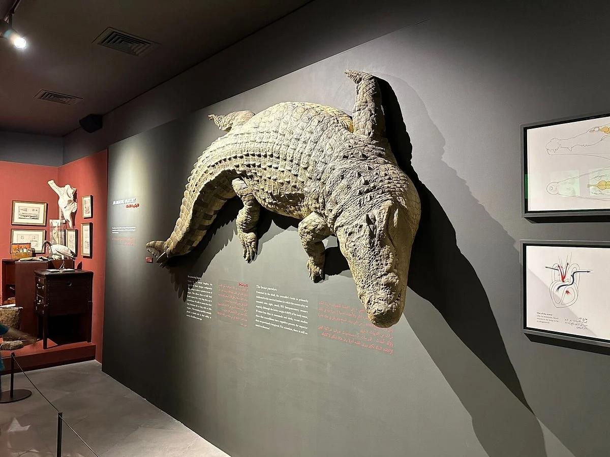 Crocodile Park Special Offer Combos – Upto 20% OFF - Image 3